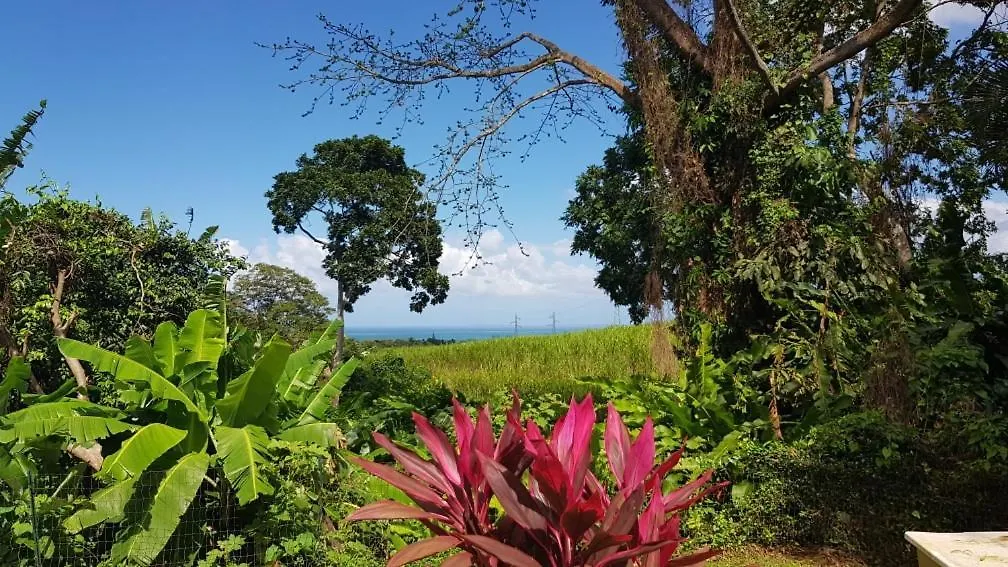 Villa Kreyol Sainte-Rose